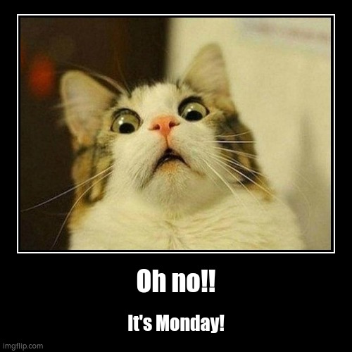 Oh no!! | It's Monday! | image tagged in funny,demotivationals | made w/ Imgflip demotivational maker