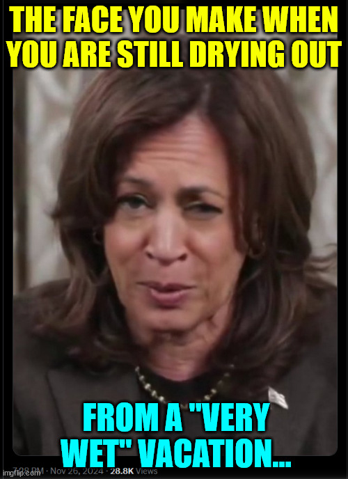 Kamala returns from the bottom of a bottle | THE FACE YOU MAKE WHEN YOU ARE STILL DRYING OUT; FROM A "VERY WET" VACATION... | image tagged in kamala harris,still drunk,shows up for work | made w/ Imgflip meme maker