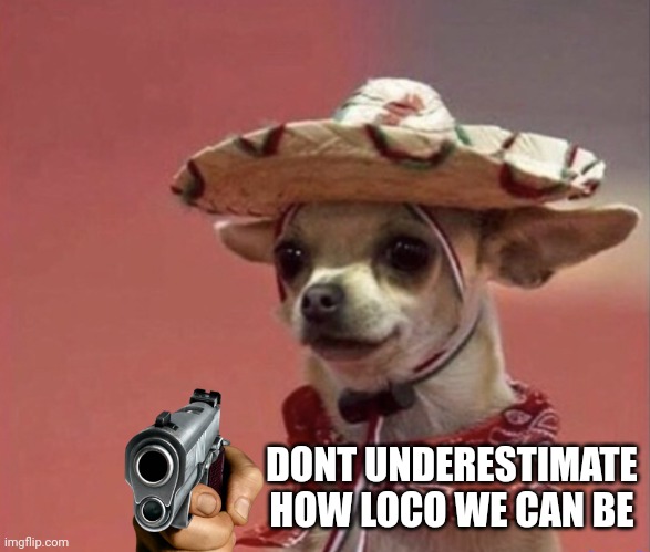 Chihuahua in sumbrero | DONT UNDERESTIMATE HOW LOCO WE CAN BE | image tagged in chihuahua in sumbrero | made w/ Imgflip meme maker