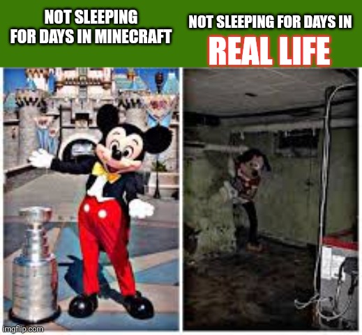 Imagine not sleeping for days... | NOT SLEEPING FOR DAYS IN; NOT SLEEPING FOR DAYS IN MINECRAFT; REAL LIFE | image tagged in mickey mouse in disneyland,sleep,insomnia | made w/ Imgflip meme maker