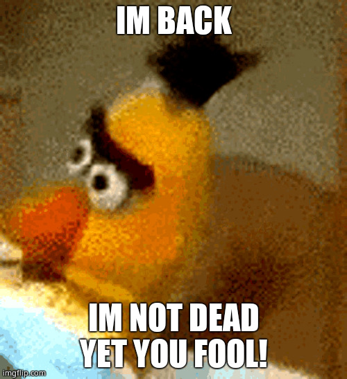 Ernie stupid look | IM BACK; IM NOT DEAD YET YOU FOOL! | image tagged in ernie stupid look | made w/ Imgflip meme maker