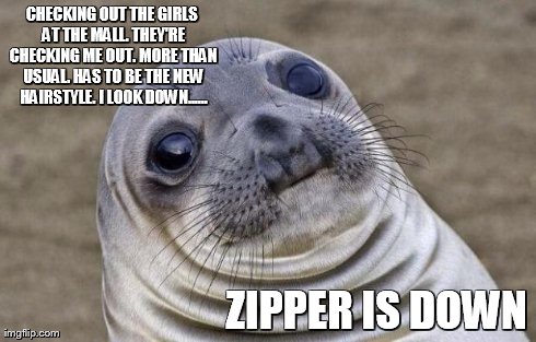 Awkward Moment Sealion Meme | CHECKING OUT THE GIRLS AT THE MALL. THEY'RE CHECKING ME OUT. MORE THAN USUAL. HAS TO BE THE NEW HAIRSTYLE. I LOOK DOWN...... ZIPPER IS DOWN | image tagged in memes,awkward moment sealion | made w/ Imgflip meme maker