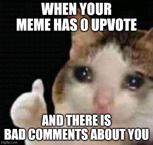 sad thumbs up cat | WHEN YOUR MEME HAS 0 UPVOTE; AND THERE IS BAD COMMENTS ABOUT YOU | image tagged in sad thumbs up cat,memes,funny memes,cat,crying,annoyed | made w/ Imgflip meme maker