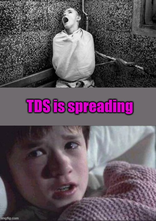 TDS is spreading | image tagged in memes,i see dead people | made w/ Imgflip meme maker