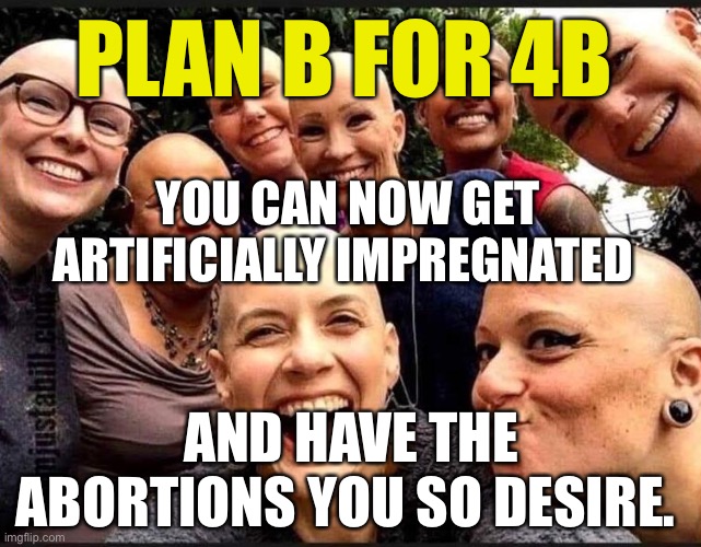 When Abortion is the end all. | PLAN B FOR 4B; YOU CAN NOW GET ARTIFICIALLY IMPREGNATED; AND HAVE THE ABORTIONS YOU SO DESIRE. | image tagged in bald wokester 4b bitches | made w/ Imgflip meme maker