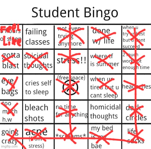 student bingo | image tagged in student bingo | made w/ Imgflip meme maker