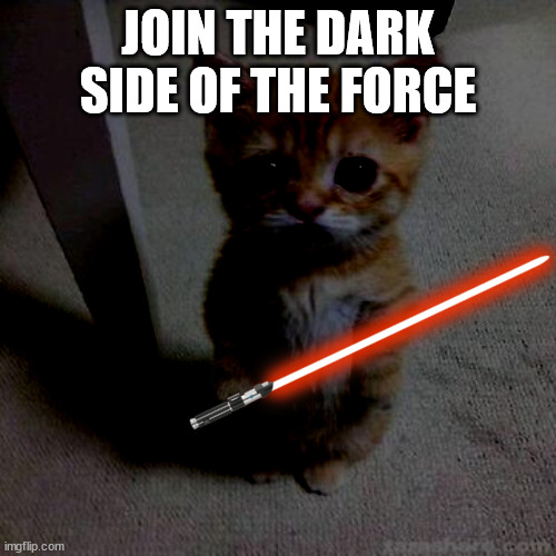 join the dark side | JOIN THE DARK SIDE OF THE FORCE | image tagged in cats,cat,star wars,memes | made w/ Imgflip meme maker