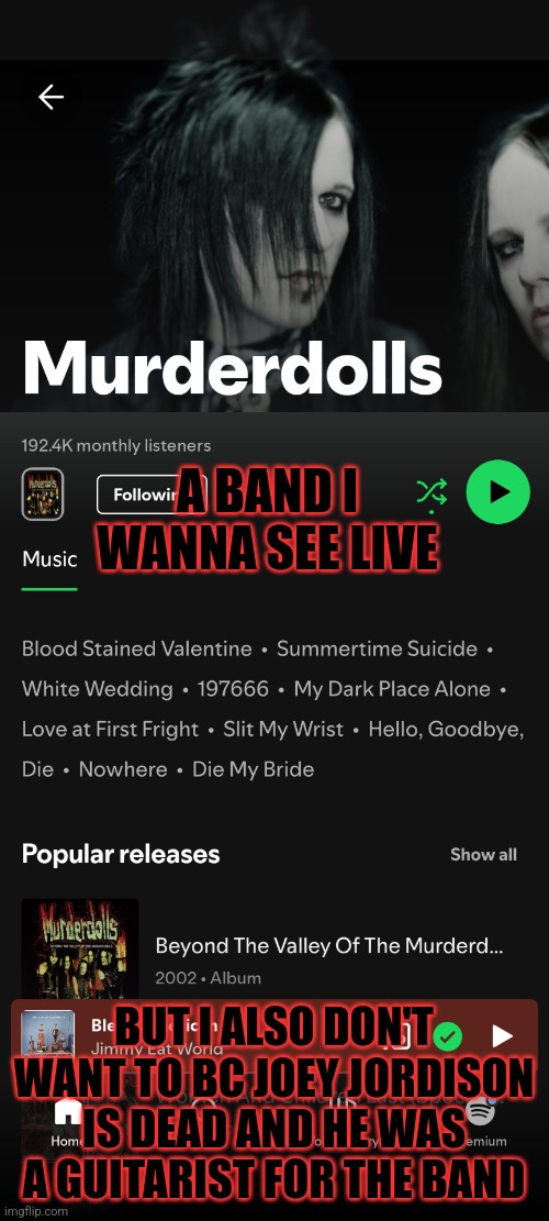 Murderdolls | A BAND I WANNA SEE LIVE; BUT I ALSO DON'T WANT TO BC JOEY JORDISON IS DEAD AND HE WAS A GUITARIST FOR THE BAND | image tagged in murderdolls,metal | made w/ Imgflip meme maker