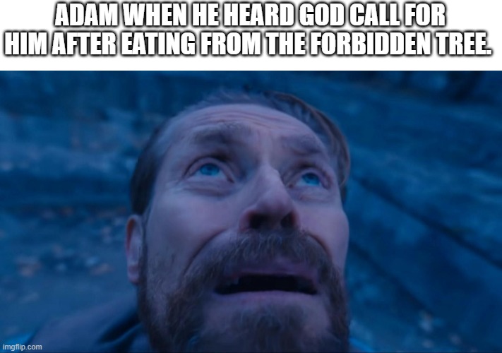 Bible meme | ADAM WHEN HE HEARD GOD CALL FOR HIM AFTER EATING FROM THE FORBIDDEN TREE. | image tagged in funny meme | made w/ Imgflip meme maker