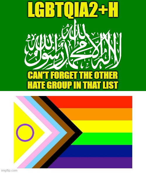 LGBTQHamas | LGBTQIA2+H; CAN'T FORGET THE OTHER
HATE GROUP IN THAT LIST | image tagged in lgbtq,hamas,israel,liberal logic,hate speech,antisemitism | made w/ Imgflip meme maker