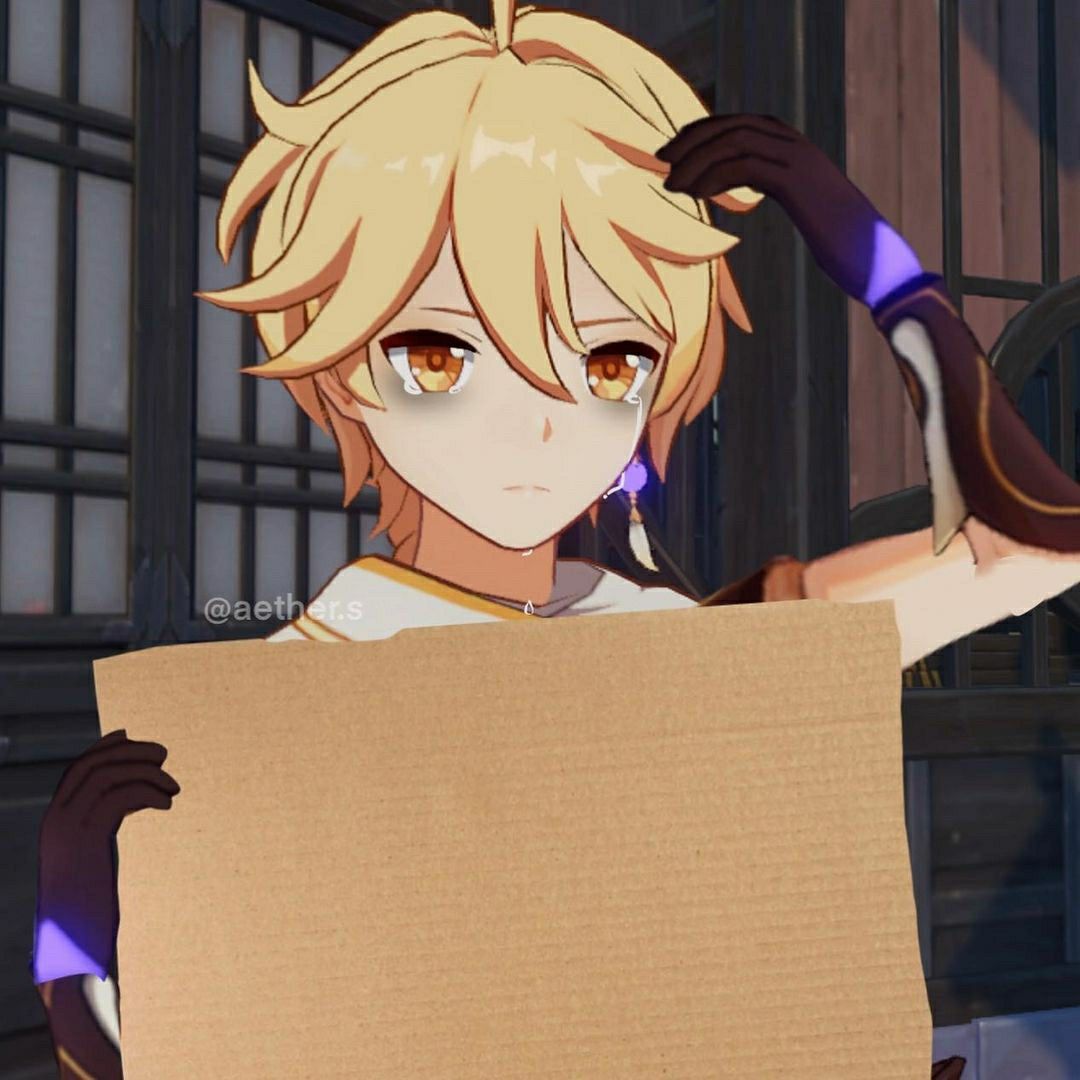 Aether With Carboard Sign Blank Meme Template