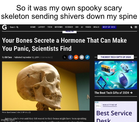 Clever meme title | So it was my own spooky scary skeleton sending shivers down my spine | image tagged in spooky scary skeleton,funny memes,spooky scary skeletons,funny,memes,skeleton | made w/ Imgflip meme maker