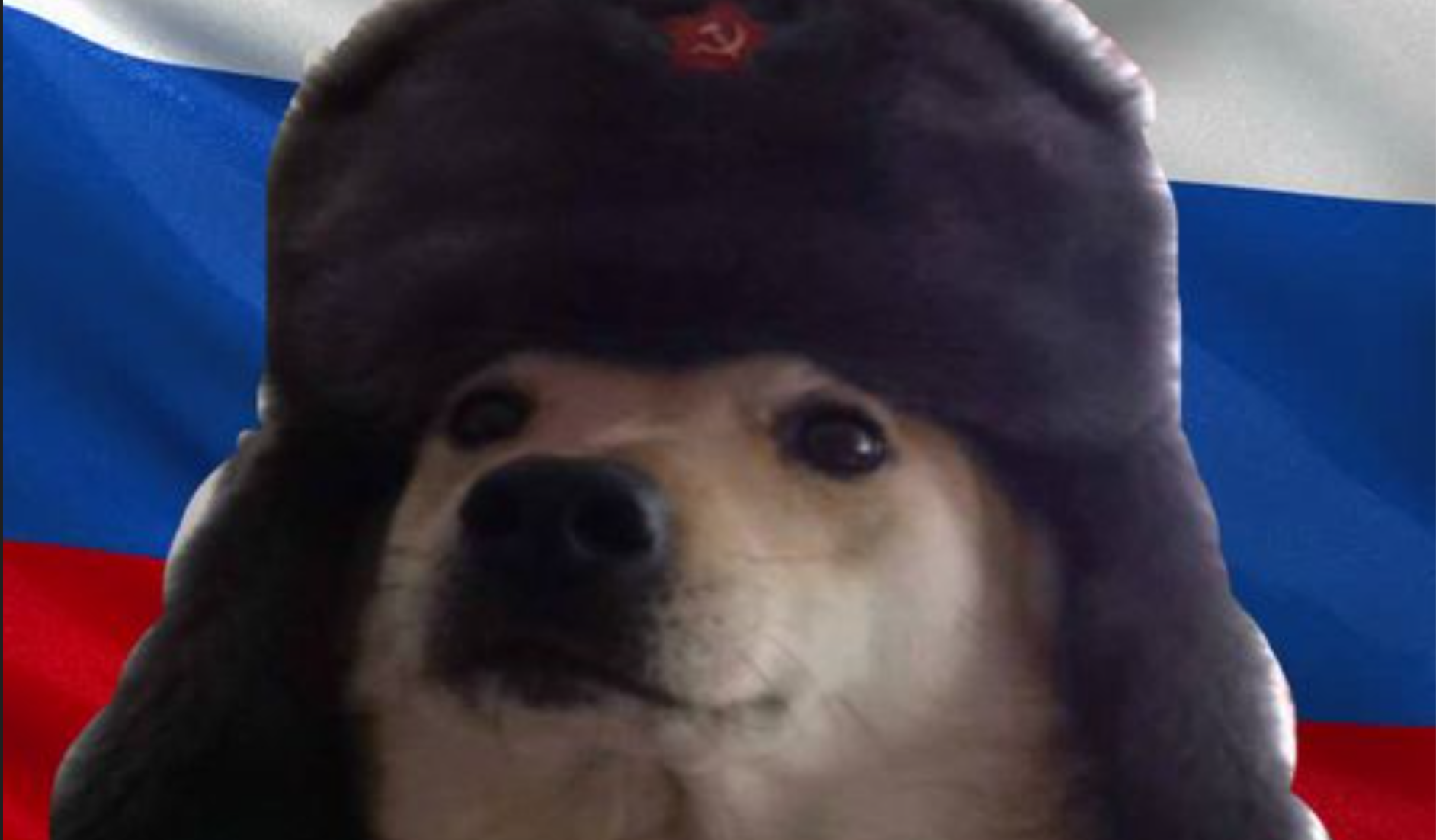 High Quality Russian dog Blank Meme Template