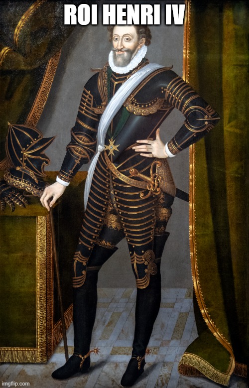 Roi Henri IV | ROI HENRI IV | image tagged in roi henri iv | made w/ Imgflip meme maker