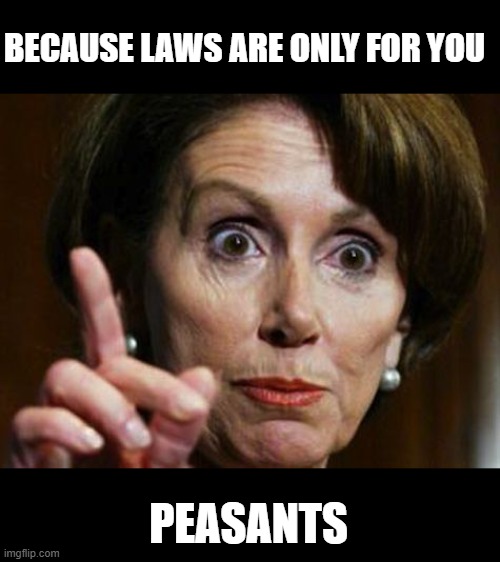 Nancy Pelosi No Spending Problem | BECAUSE LAWS ARE ONLY FOR YOU PEASANTS | image tagged in nancy pelosi no spending problem | made w/ Imgflip meme maker