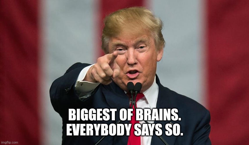 Donald Trump Birthday | BIGGEST OF BRAINS.
EVERYBODY SAYS SO. | image tagged in donald trump birthday | made w/ Imgflip meme maker