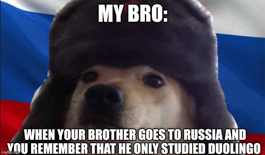 this is russia! | MY BRO:; WHEN YOUR BROTHER GOES TO RUSSIA AND YOU REMEMBER THAT HE ONLY STUDIED DUOLINGO | image tagged in russian dog | made w/ Imgflip meme maker