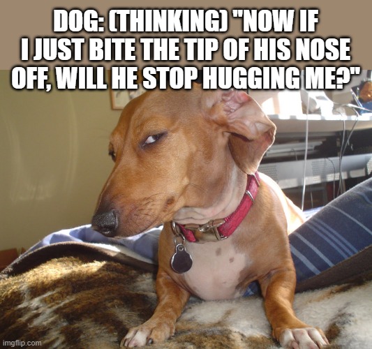 Suspicious Dog | DOG: (THINKING) "NOW IF I JUST BITE THE TIP OF HIS NOSE OFF, WILL HE STOP HUGGING ME?" | image tagged in suspicious dog | made w/ Imgflip meme maker