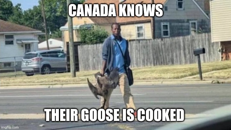 Haitian Man With Goose | CANADA KNOWS THEIR GOOSE IS COOKED | image tagged in haitian man with goose | made w/ Imgflip meme maker