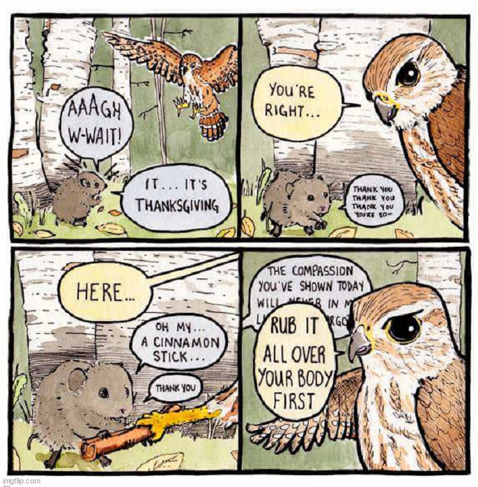 Pumpkin pie for owls | image tagged in comics/cartoons | made w/ Imgflip meme maker