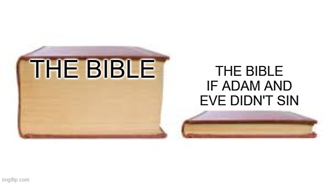 Big book small book | THE BIBLE IF ADAM AND EVE DIDN'T SIN; THE BIBLE | image tagged in big book small book | made w/ Imgflip meme maker