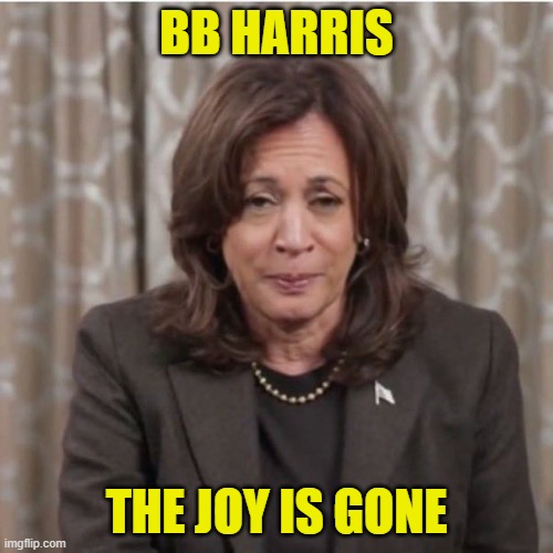 The Thrill and Joy is gone | BB HARRIS; THE JOY IS GONE | image tagged in kamala harris,drunk,joy,maga,make america great again,vice president | made w/ Imgflip meme maker