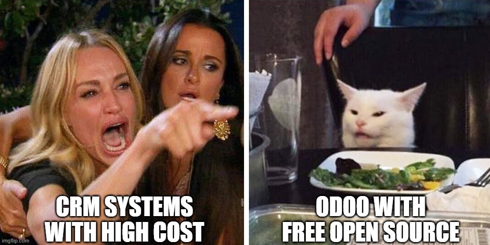odoo cat meme | CRM SYSTEMS WITH HIGH COST; ODOO WITH FREE OPEN SOURCE | image tagged in smudge the cat | made w/ Imgflip meme maker