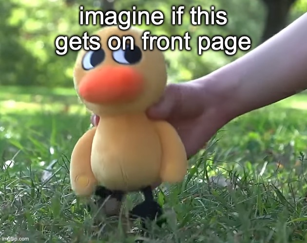 duck song plushie | imagine if this gets on front page | image tagged in duck song plushie | made w/ Imgflip meme maker