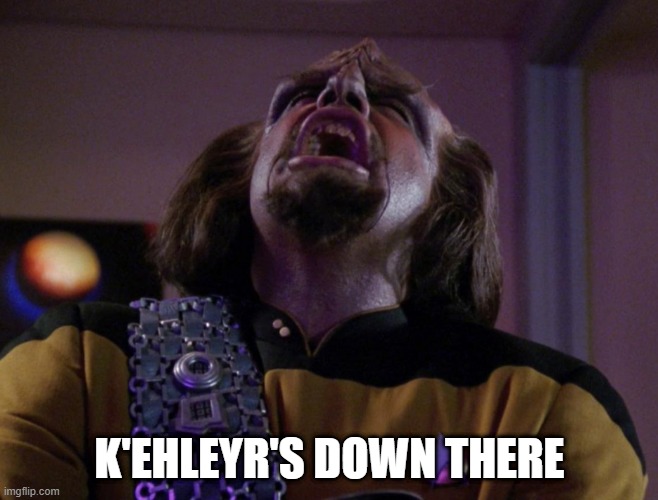 Nasty Worf | K'EHLEYR'S DOWN THERE | image tagged in worf screams | made w/ Imgflip meme maker