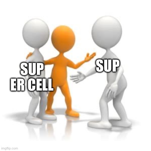 (Blank) this is (blank) | SUP ER CELL SUP | image tagged in blank this is blank | made w/ Imgflip meme maker