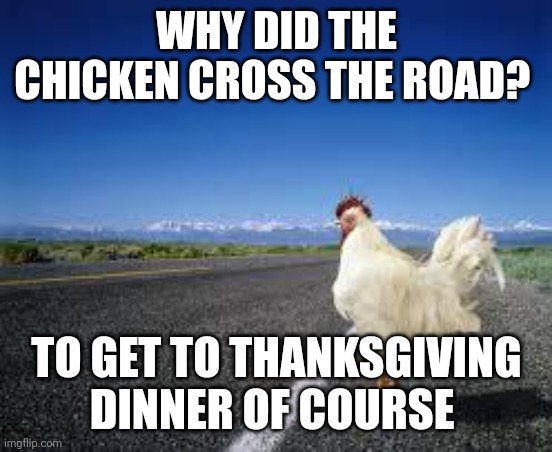 Chicken crossing the road | WHY DID THE CHICKEN CROSS THE ROAD? TO GET TO THANKSGIVING DINNER OF COURSE | image tagged in why the chicken cross the road,funny memes | made w/ Imgflip meme maker