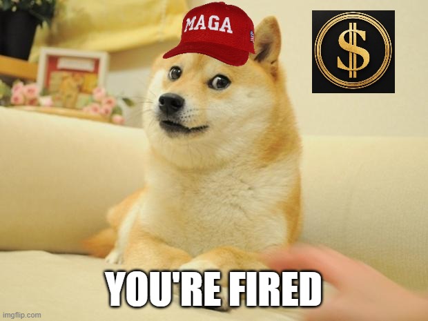 You're Fired | YOU'RE FIRED | image tagged in memes,doge 2,dogegov | made w/ Imgflip meme maker