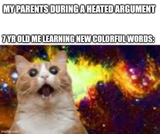 Heated argument | MY PARENTS DURING A HEATED ARGUMENT; 7 YR OLD ME LEARNING NEW COLORFUL WORDS: | image tagged in wow cat 2 in space,dad,mom | made w/ Imgflip meme maker