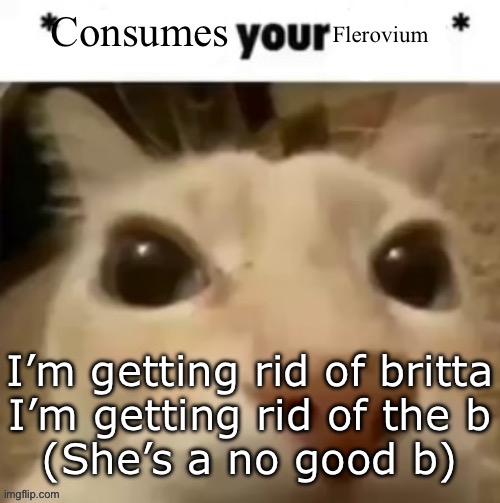 Did Yakko really say this | I’m getting rid of britta
I’m getting rid of the b
(She’s a no good b) | image tagged in yakko consumes your flerovium | made w/ Imgflip meme maker