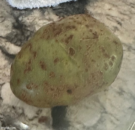 Irl poisonous potato | image tagged in potato | made w/ Imgflip meme maker