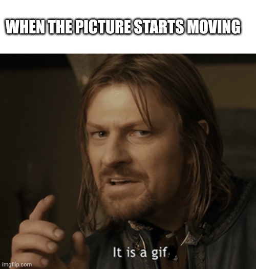 Boromir: it's a gif | WHEN THE PICTURE STARTS MOVING | image tagged in boromir it's a gif | made w/ Imgflip meme maker