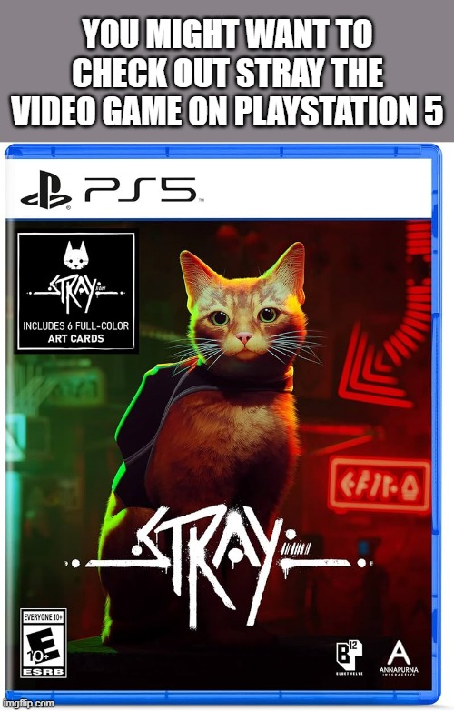 memes by Brad - Check out Stray video game on Playstation. It's a sleeper. | YOU MIGHT WANT TO CHECK OUT STRAY THE VIDEO GAME ON PLAYSTATION 5 | image tagged in gaming,video games,playstation,cats,kittens,funny | made w/ Imgflip meme maker