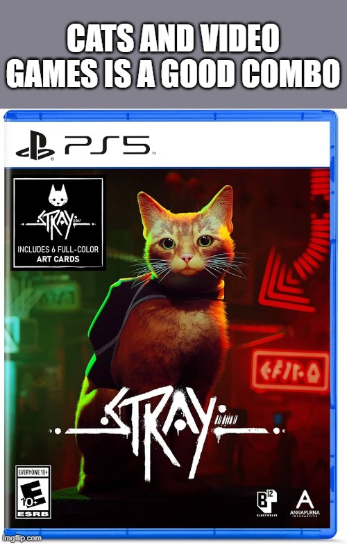 memes by Brad - STRAY is a cat based video game for Playstation 5 | CATS AND VIDEO GAMES IS A GOOD COMBO | image tagged in cats,kittens,playstation,video games,funny | made w/ Imgflip meme maker