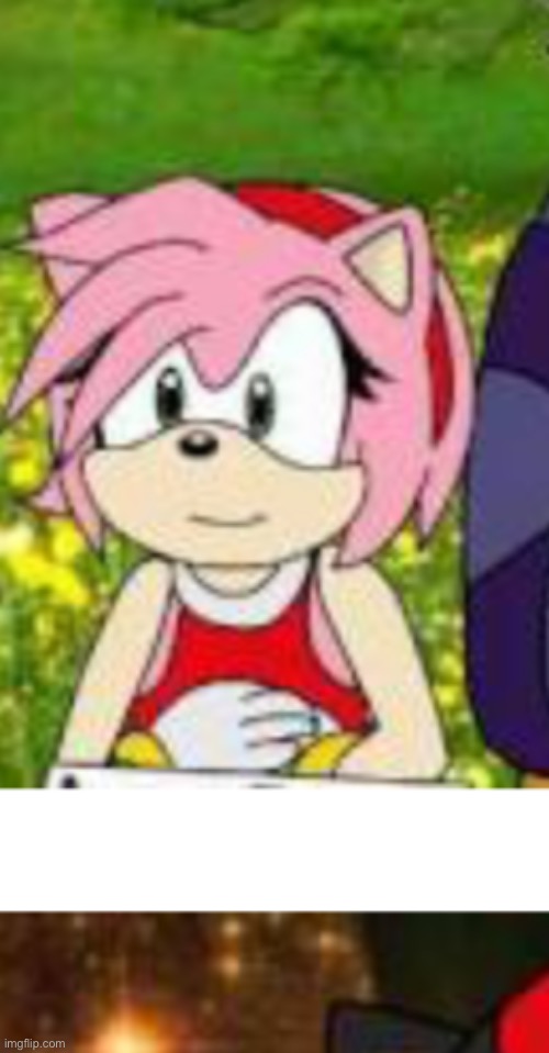 AMY ROSE IS INTERCOURSE SEXY!!! | image tagged in amy rose is intercourse sexy | made w/ Imgflip meme maker