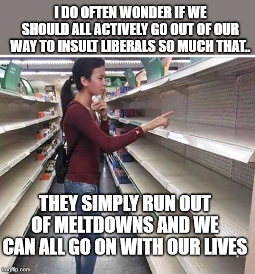 Searching empty shelves | I DO OFTEN WONDER IF WE SHOULD ALL ACTIVELY GO OUT OF OUR WAY TO INSULT LIBERALS SO MUCH THAT.. THEY SIMPLY RUN OUT OF MELTDOWNS AND WE CAN ALL GO ON WITH OUR LIVES | image tagged in searching empty shelves | made w/ Imgflip meme maker