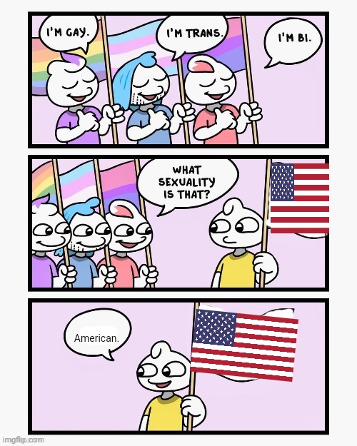 What Sexuality Is That? | American. | image tagged in what sexuality is that | made w/ Imgflip meme maker