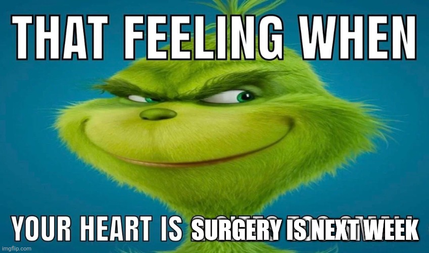 how the grinch stole christmas | SURGERY IS NEXT WEEK | made w/ Imgflip meme maker