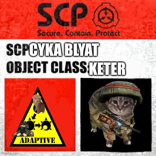 this is russia! Again | KETER; CYKA BLYAT | image tagged in scp label template keter | made w/ Imgflip meme maker