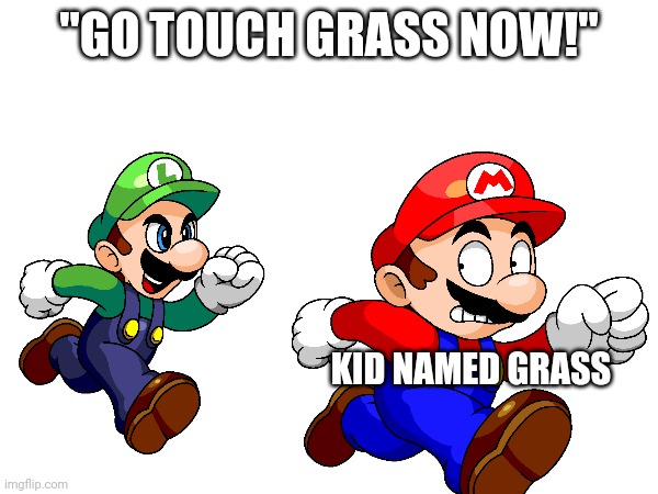 ; ) | "GO TOUCH GRASS NOW!"; KID NAMED GRASS | image tagged in memes,funny,mario,luigi,touch grass,kid named | made w/ Imgflip meme maker