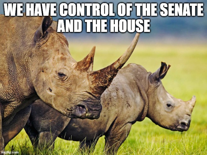 Rino Control Of the Senate and House | WE HAVE CONTROL OF THE SENATE
AND THE HOUSE | image tagged in rino | made w/ Imgflip meme maker