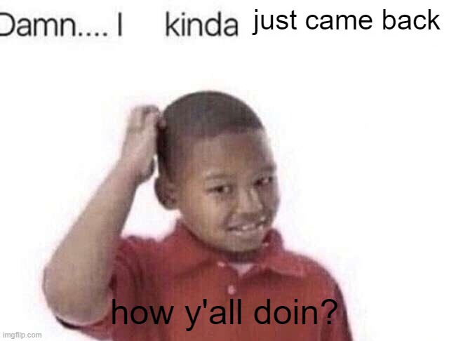 Damn I kinda don’t meme | just came back; how y'all doin? | image tagged in damn i kinda don t meme | made w/ Imgflip meme maker