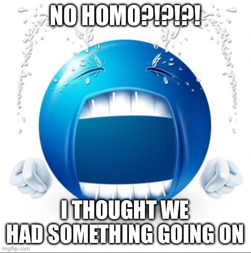 shitty ragebait attempt | NO HOMO?!?!?! I THOUGHT WE HAD SOMETHING GOING ON | image tagged in crying blue guy | made w/ Imgflip meme maker