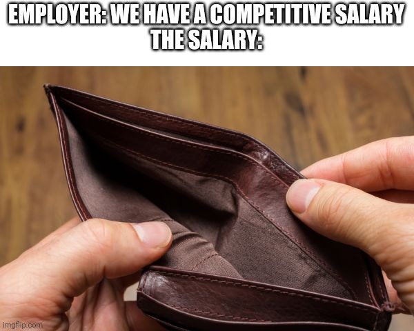 When they talk about "A Competitive Salary" | EMPLOYER: WE HAVE A COMPETITIVE SALARY
THE SALARY: | image tagged in empty wallet | made w/ Imgflip meme maker