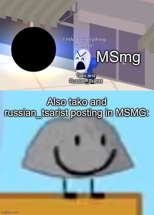 MSmg; Tako and Russian_Tsarist; Also tako and russian_tsarist posting in MSMG: | image tagged in i hate everything in there,idiot | made w/ Imgflip meme maker