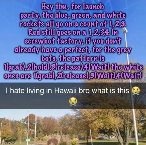 I hate living in Hawaii bro what is this | Hey tim, for launch party, the blue, green, and white rockets all go on a count of 1,2,3. Red still goes on a 1,2,3,4. In screwbot factory, if you don’t already have a perfect, for the grey bots, the pattern is 1(grab),2(hold),3(release),4(Wait) the white ones are 1(grab),2(release),3(Wait),4(Wait) | image tagged in i hate living in hawaii bro what is this | made w/ Imgflip meme maker